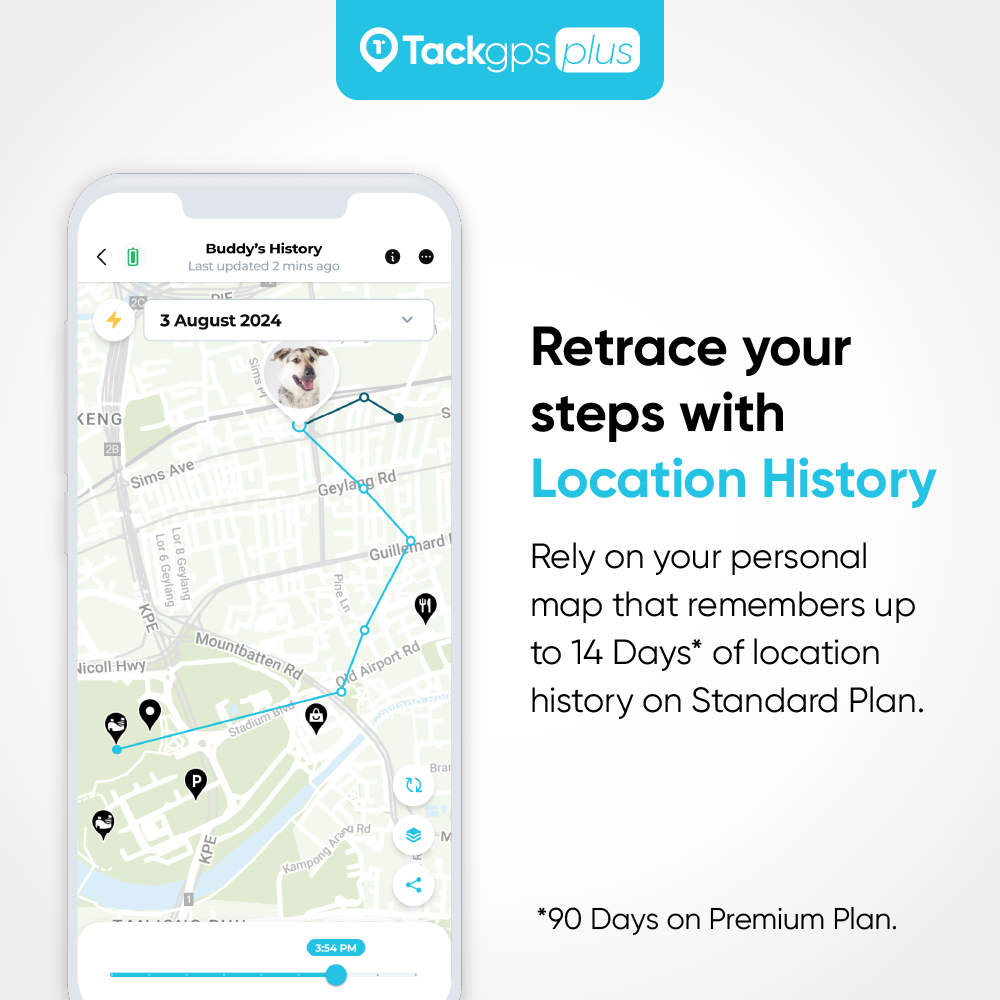 Tack GPS Plus 定位器：適合孩童、長輩、身心障礙者、寵物與汽車，具備跌倒偵測（120+ 個國家/地區）