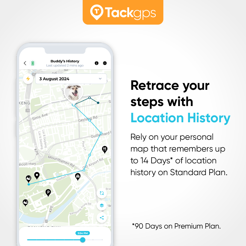 Tack GPS 定位器：適合孩童、長輩、身心障礙者、寵物與汽車（30+ 個國家/地區）